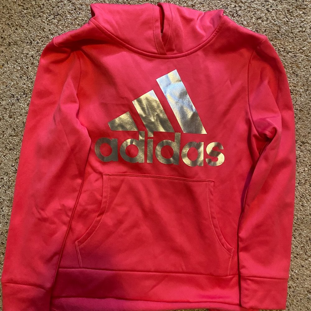 a sweatshirt